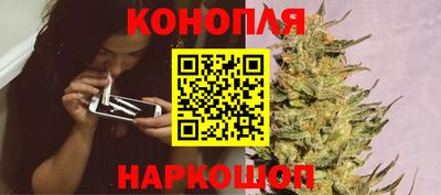 винт Партизанск