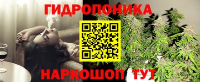 винт Партизанск