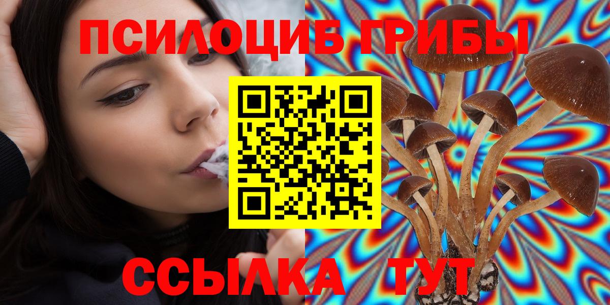 Тверь  Галлюциногенные грибы прущие грибы  Вход с VPN  Псилоцибиновые грибы ЛСД 