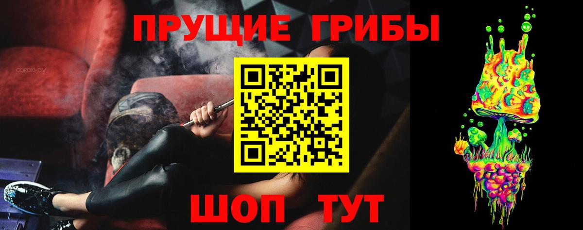 Псилоцибиновые грибы прущие грибы Тверь